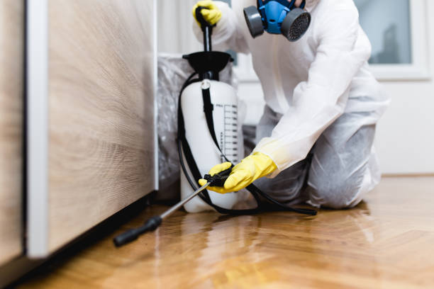 Pest Control for Restaurants in Dixon, MO