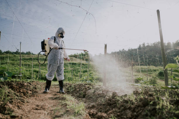 Professional Pest Control in Dixon, MO