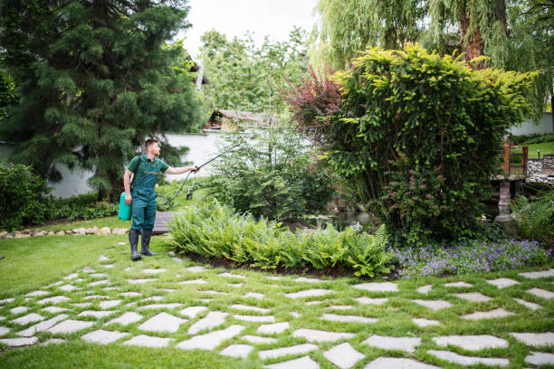 Best Pest Control for Restaurants  in Dixon, MO