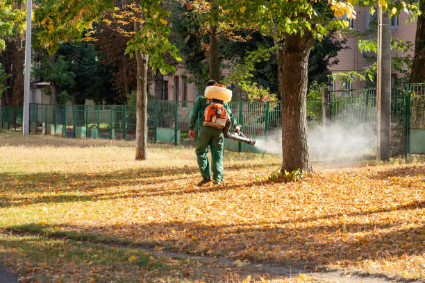 Wildlife Control Services in Dixon, MO